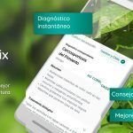 plantix